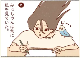 こんなに見てたの～？ 仕事中の私とセキセイインコを撮影した結果／プジェ日記！ 