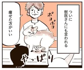 うちのぽっちゃり猫。「痩せたほうがいい」ついに獣医から言われてダイエット⁉／うちの猫は仲が悪い