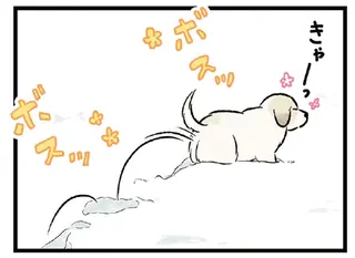 散歩中、テンションが爆上がりの大型犬たち。はしゃぐ姿が可愛くて／今日のルンルン