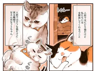 ギャップ萌え!? 猫たちがお客さんが帰った後に飼い主だけに見せる姿がかわいい／うちの猫は仲が悪い