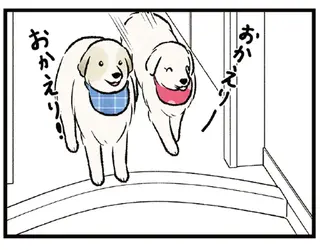 父が帰ると玄関でお出迎えする大型犬。息子が帰ると...え？／今日のルンルン