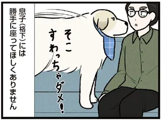 ソファは僕の場所！ 大型犬に格下認定された息子は座れるのか⁉／今日のルンルン