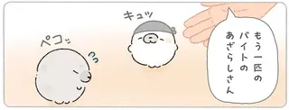 ラーメン店でアルバイト。緊張する新人あざらしに先輩あざらしがあげたもの／ちょこんとあざらし