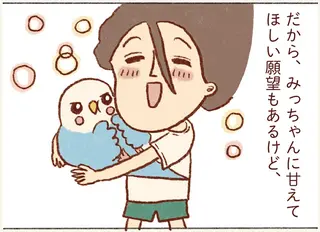 インコに甘えてほしい気持ちはあるけれど。うちの子はツンデレ対応でいい！／プジェ日記！ 