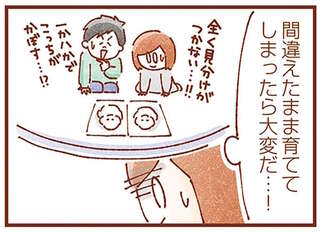 「一卵性双子を見分けられるのか？」出産前の母の不安。いざ生まれたら...んんん？／双子育児、ちょっぴり詰んでます！