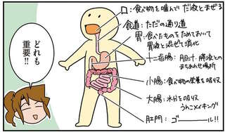 つまりを取って、つないで直して...人間の「ごはんの通り道」に一喜一憂する外科医たち／腐女医の医者道！6