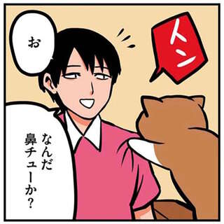 猫が鼻チューと見せかけて...。突然の裏切りに飼い主は／鴻池剛と猫のぽんた 1-3
