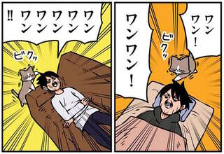 「ワンワン！」新入り子猫のじゃれつき対策。そのせいで飼い主に起きた「悲劇」は／鴻池剛と猫のぽんた 1-3