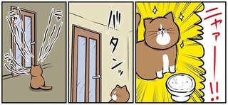 わんぱくな猫の催促。いつまでも「ニャァー！！」って、さっき...！／鴻池剛と猫のぽんた 4