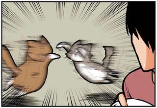 猫に攻撃される飼い主。なぜこんな「的確」に...／鴻池剛と猫のぽんた 4