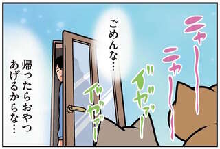 「猫と暮らす理想と現実」。お出かけを寂しがってほしいけど実際は...!?／鴻池剛と猫のぽんた 4