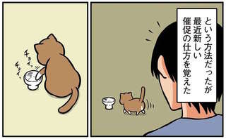 猫が身につけた「陰湿なご飯の催促」。これはでは暴れていたのに...おい／鴻池剛と猫のぽんた 4