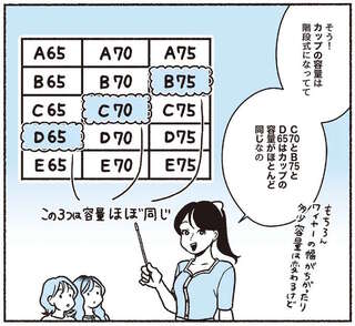 知ってると便利な「姉妹サイズ」。 D65、B75、C70はカップ容量がほぼ同じ！／悪いのはスタイルじゃなくて下着でした