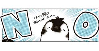 「働きたくて働いてる？」カフェで働くペンギンたちに緊急アンケート／ペンギン喫茶は今日も青天