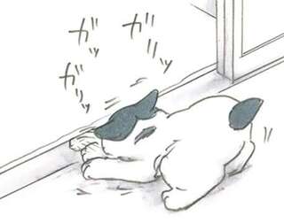 子猫が窓の溝をほりほり。何を探しているかと思ったら「さっきの!?」／拾い猫のモチャ8