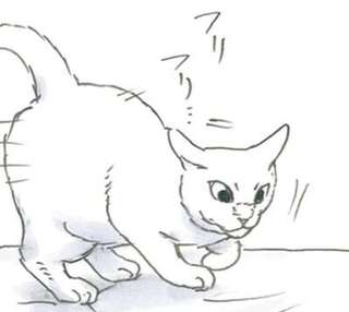 子猫がいない!? 涙目で探してやっと見つけたのに当の本人は...え？／拾い猫のモチャ8
