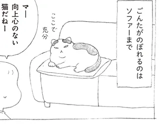 高い所にのぼろうとしない元野良猫。うっかり本棚の上に乗ってしまったら...!?／野良猫ごんた、家猫になる