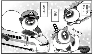「鉄砲玉の...タマ!?」元極道が野良猫の命名に頭を悩ませていると...／オヤジとにゃん吉