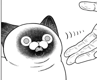「最凶の男」と恐れられた人物が野良猫に初めてのご挨拶。猫の反応は!?／オヤジとにゃん吉