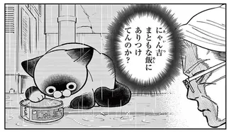「まさか凍えてるんじゃ...」雨の日に姿を見せない野良猫を心配していたら...え？／オヤジとにゃん吉