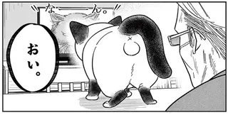 「なんて覇気だ！」いつもはのんびり屋な野良猫。テレビに映る「ボス猫」を見て豹変／オヤジとにゃん吉