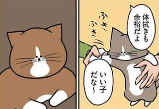 おりこうな新入り子猫。露骨にほめたらヤンチャな先住猫にも影響が...？／鴻池剛と猫のぽんた 1-3