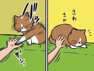 猫が引っ搔きをやめてくれない。思い切り「痛がる演技」をしたら...は？／鴻池剛と猫のぽんた 1-3