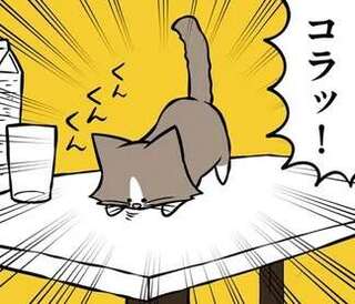 「叱られている子猫」をじっと見つめる先住猫。その理由は...たぶんコレ／鴻池剛と猫のぽんた 1-3