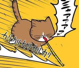 猫が遊ぶ姿に「昔と変わらないな」とほっこり...からまさかの!?／鴻池剛と猫のぽんた 1-3