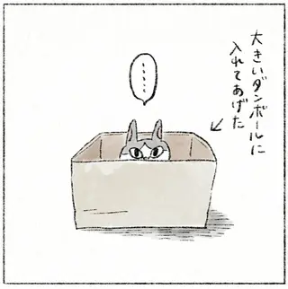 もはや入れてないだろ...。愛猫が「みちみち小さい段ボール箱」を好きすぎる／うちの猫は今日も塩対応