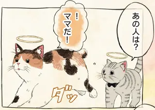 生き別れたママと天国で再会。「ごめんね」より言ってほしい言葉は／自分の名前を勘違いしている子