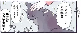 おてがら猫！ 家族が退治できなかった蚊を...そんなことできるの!?／るしこの子育て日記4