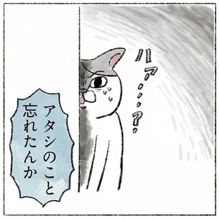 「アタシのこと忘れたんか」愛猫が、実家に帰省した娘を思い出すまでの試練／うちの猫は今日も塩対応