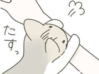すぐ懐いてくれた保護猫。飼い主が仕事し始めたら...あああ！／ねこのつゆちゃんのことで頭がいっぱいです