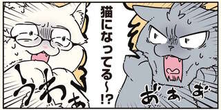 『ブラック企業の社員が猫になって人生が変わった話8 猫兄弟の場合』
