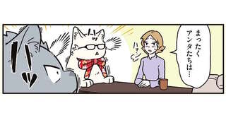 猫になった兄弟が同時にハッ！ その「察知力」に周囲が振り回されて／ブラック企業の社員が猫になって人生が変わった話8