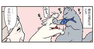 「かわいいねぇ」傍から見たら微笑ましい、猫兄弟の喧嘩／ブラック企業の社員が猫になって人生が変わった話8