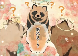 たぬきたちの可愛い勘違い。3頭が呼ばれていた「同じ名前」とは？／自分の名前を勘違いしている子