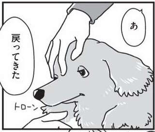 愛犬が若い頃に現れた「症状」。この病気が、家族の結束につながった／愛犬グミと銀次郎と過ごした日々