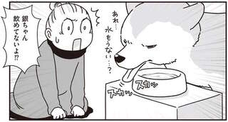 シニア犬の目が見えにくくなり、水が飲めなくなってきた...。水分補給どうする？／愛犬グミと銀次郎と過ごした日々