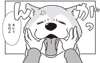 シニアの愛犬。苦手なお口ケアを頑張った後のごほうびは忘れない！／愛犬グミと銀次郎と過ごした日々