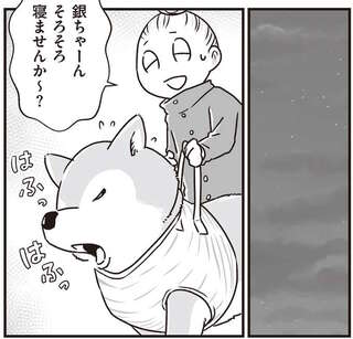 シニア柴犬との深夜の散歩。同じ場所をぐるぐる歩き、まるで世界で2人きりのよう...／愛犬グミと銀次郎と過ごした日々