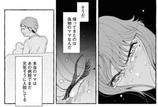 病気のせいで別人のようになった母...その容態を認めたくない中学生の必死の抵抗／ぷくちょらりファミリア