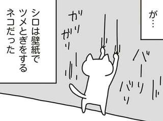 こんなはずでは...こだわりマイホームの「誤算」。BBQ、プール、ペット...理想と現実／こだわりマイホームを手放して