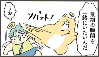 寿命を迎えた犬。最期にどうしても飼い主と過ごしたいと...／天国での暮らしはどうですか2