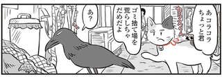 鬼姫様の弟子の三毛猫がパトロール。ゴミを散らかすカラスに注意したら!?／鬼姫神社通り商店街