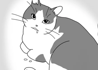 15歳の愛猫の手術はしないと決めた飼い主。医師に告げられた「余命」は...えっ？／世界一幸せな飼い主にしてくれた猫