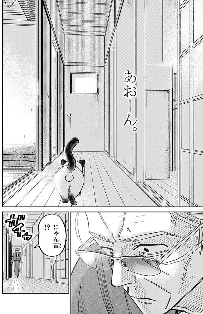 野良猫の鳴き声を聞いてみたい！ あの手この手と仕掛けるものの...／オヤジとにゃん吉 16214557.webp