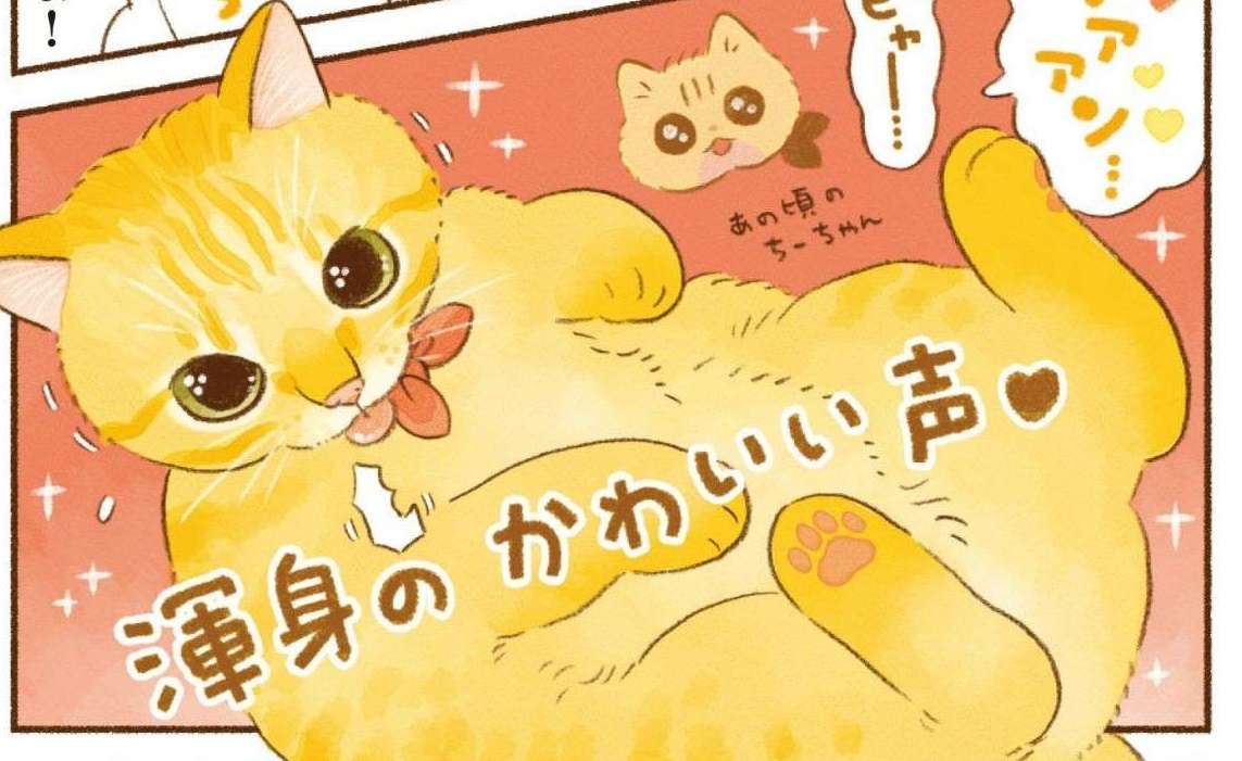 「猫が一層かわいく見える瞬間」がこれ。飼い主の感情もグチャグチャに／しまねこ3姉妹と暮らしています