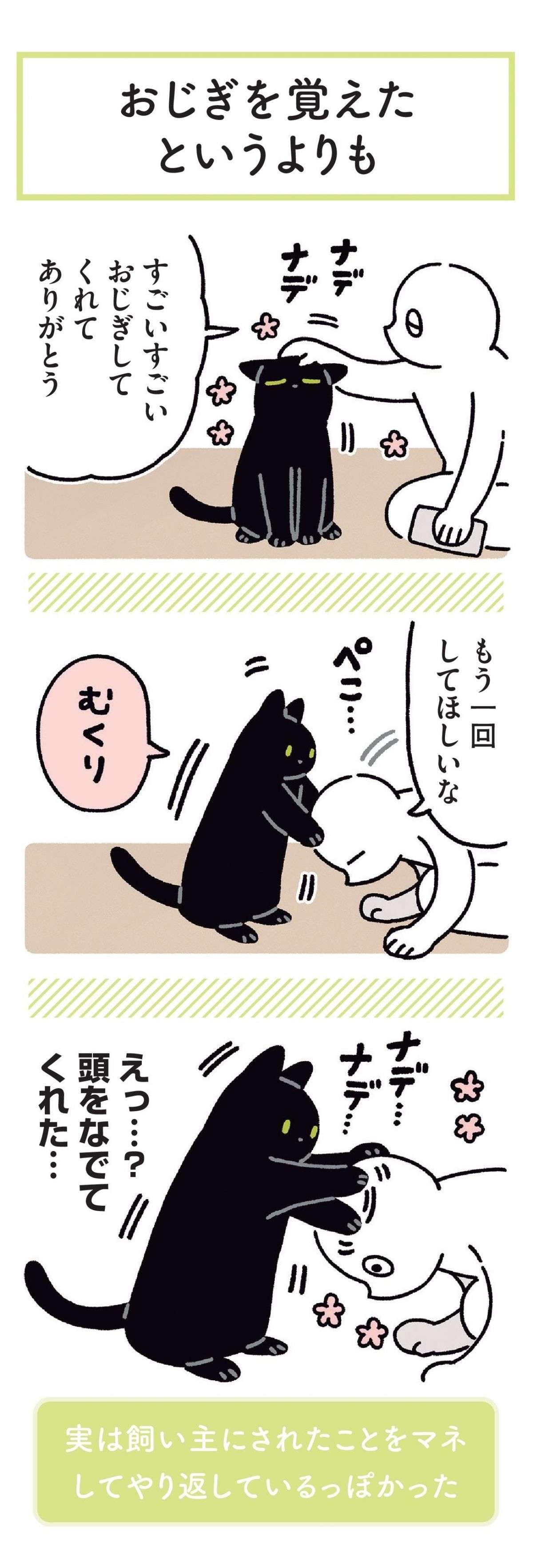 猫は「おじぎ」するのか。確認すべく、自撮りカメラで撮影したら...おお！／黒猫ろんと暮らしたら 13.jpg